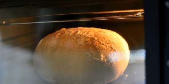 Pane di Como (Pane di Como) al forno (da non confondere con Pane di Come Antico)