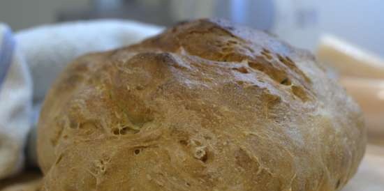 Rustiek brood op deeg volgens Kalvel (oven)