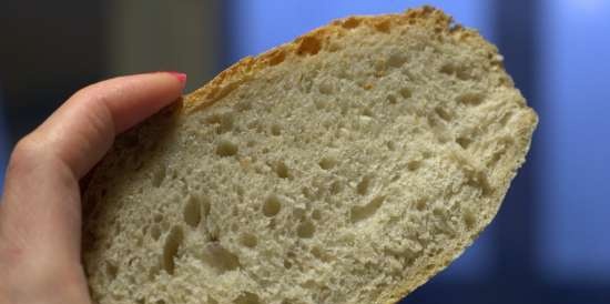 Rustic bread on dough according to Kalvel (oven)