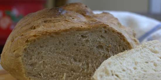 Rustic bread on dough according to Kalvel (oven)