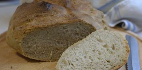 Rustic bread on dough according to Kalvel (oven)