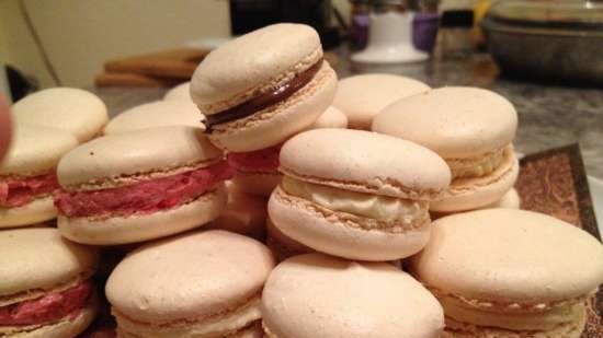 Alain Ducasse Macarons