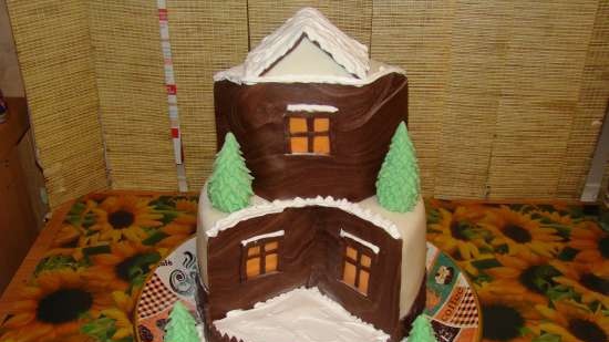 Castles, palaces, houses (cakes)