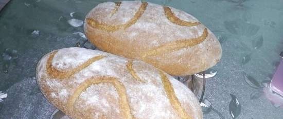 Pane di grano sul poolish (Ciril Hitz)