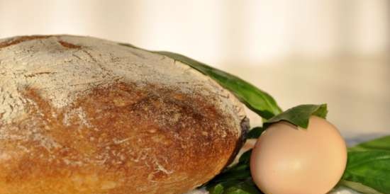 Rustic wheat bread (Pane Bigio) in the oven