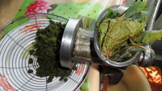 Fermented tea made from leaves of garden and wild plants (master class)