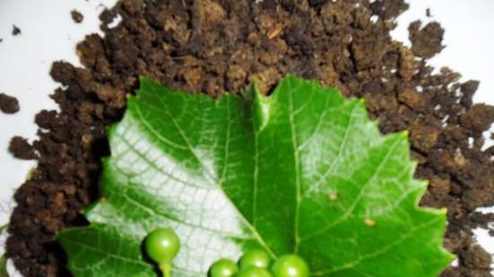 Fermented tea made from leaves of garden and wild plants (master class)