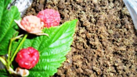 Tè fermentato a base di foglie di giardino e piante selvatiche (master class)