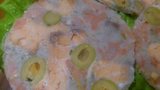 Roll with salmon and shrimps in Tescoma ham maker