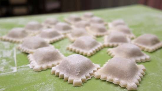 Dumplings en dumplingsvorm