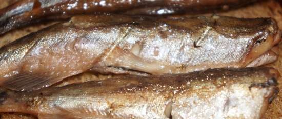 Capelin sprats