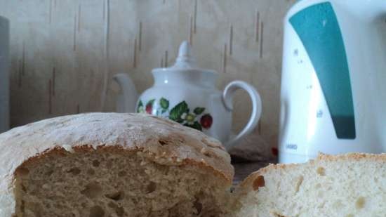 Pane di grano su pasta matura (autolievitazione)