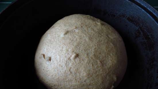 Pane di segale arioso con semi