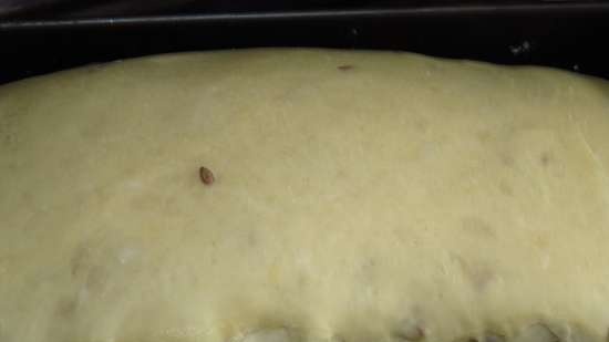 Pane di frumento con semi di lino su pasta vecchia e lievito liquido