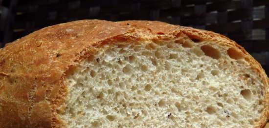 Pane di frumento con semi di lino su pasta vecchia e lievito liquido