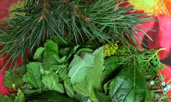 Coniferous cucumbers in apple-plum filling