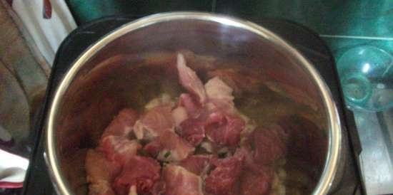 Meat a la Chakapuli (pentola a pressione multicooker Steba DD1)