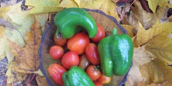 Gefermenteerde thee gemaakt van bladeren van tuin en wilde planten (masterclass)