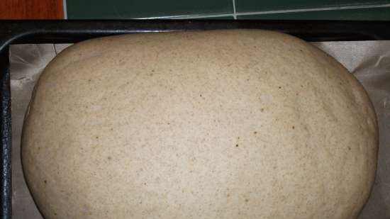 Baden Country Bread (Badisches Landbrot)