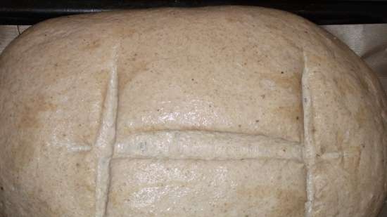 Pane di campagna del Baden (Badisches Landbrot)