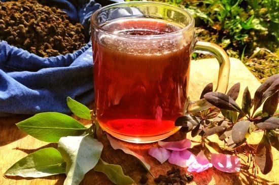 Fermented tea made from leaves of garden and wild plants (master class)