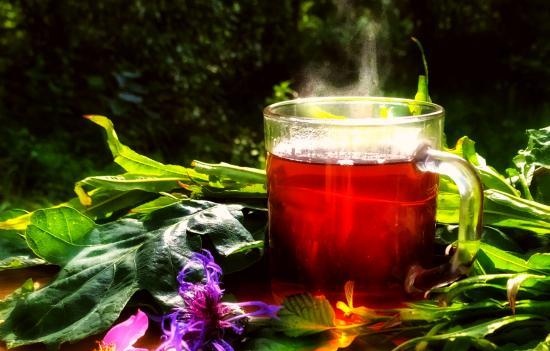 Fermented tea made from leaves of garden and wild plants (master class)