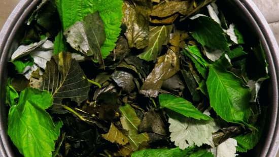 Té fermentado elaborado con hojas de jardín y plantas silvestres (clase magistral)