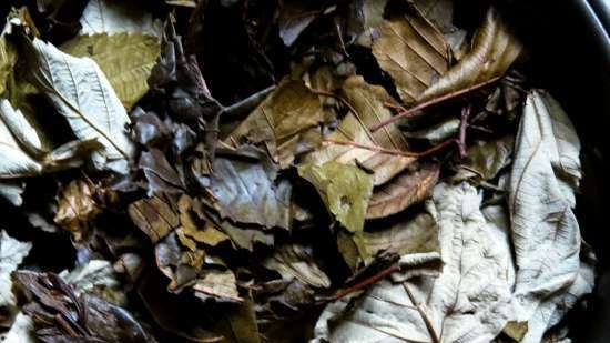 Tè fermentato a base di foglie di giardino e piante selvatiche (master class)