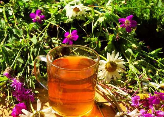 Tè fermentato a base di foglie di giardino e piante selvatiche (master class)