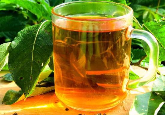 Fermented tea made from leaves of garden and wild plants (master class)