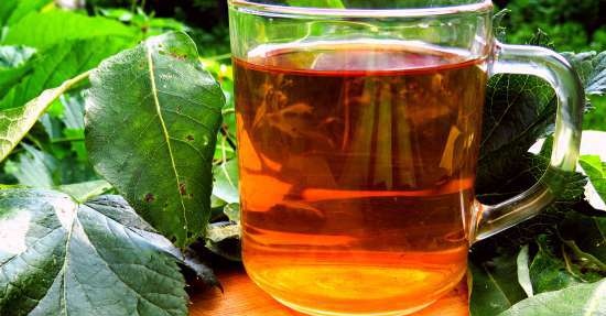 Té fermentado elaborado con hojas de jardín y plantas silvestres (clase magistral)