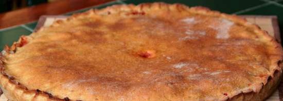 Dough patties with oatmeal and rye flour