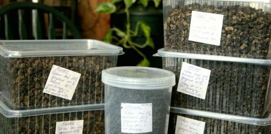 Fermented tea made from leaves of garden and wild plants (master class)