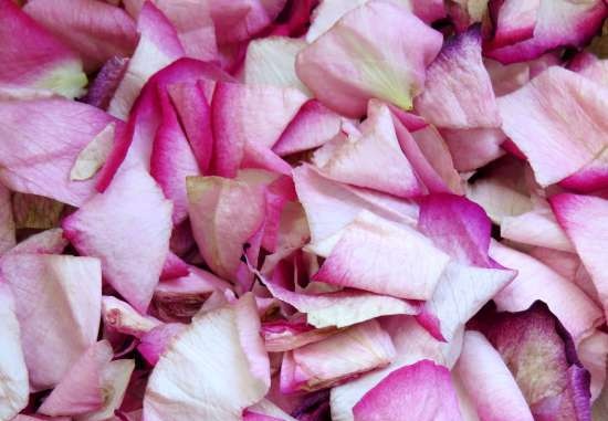 Té fermentado elaborado con hojas de jardín y plantas silvestres (clase magistral)