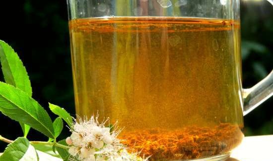 Té fermentado elaborado con hojas de jardín y plantas silvestres (clase magistral)