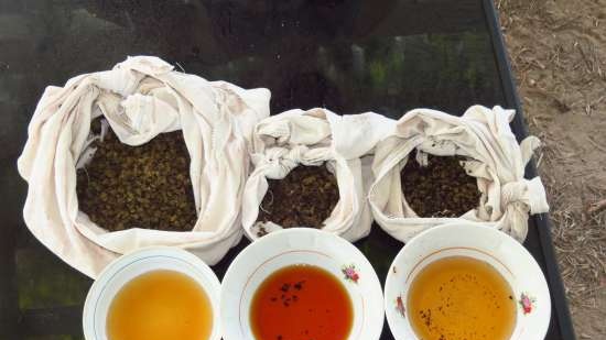 Fermented tea made from leaves of garden and wild plants (master class)