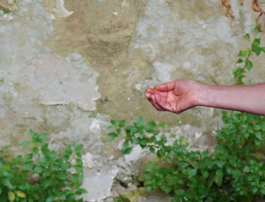 Gefermenteerde thee gemaakt van bladeren van tuin en wilde planten (masterclass)