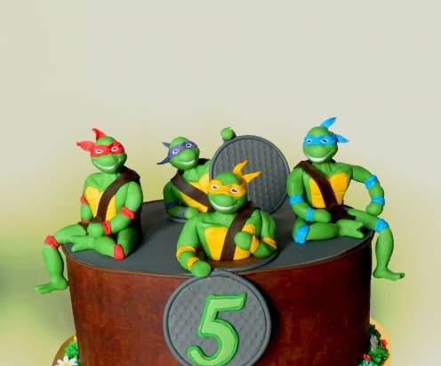 Teenage Mutant Ninja Turtles Cakes