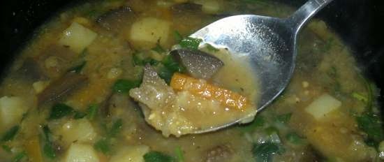 Zuppa Di Piselli Magri con Melanzane (Steba DD1)