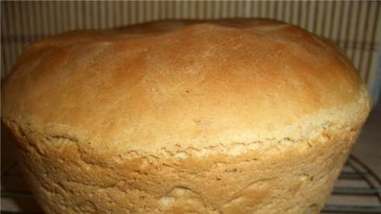 Pane di segale con lievitazione giornaliera (forno)