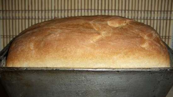 Pane bianco con infuso di kombucha (forno)