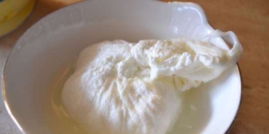 Bolet de kefir tibetà