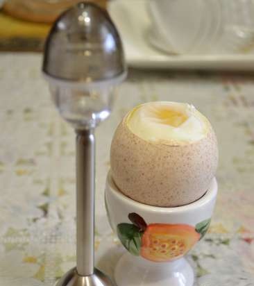 Eggshell cleaner + quail egg cutter