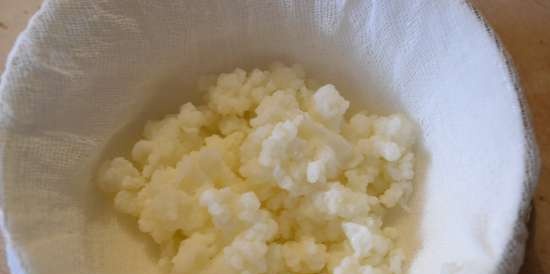 Bolet de kefir tibetà