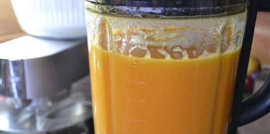 Fruit mousse na "Orange Sun" sa Profi Cook Multi-blender