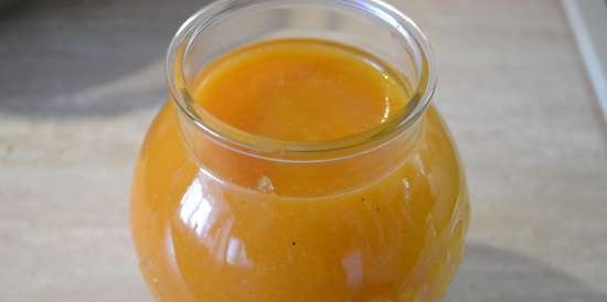 Fruit mousse na "Orange Sun" sa Profi Cook Multi-blender