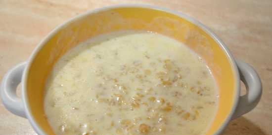 Porzione di porridge di avena a bagnomaria in una pentola a pressione Oursson