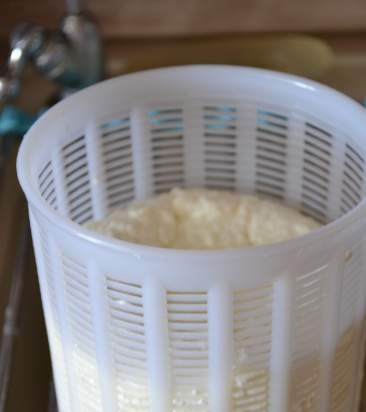 Formaggio casalingo a pasta molle naturale su lievito naturale di pepsina