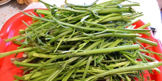 Mga cube ng juice ng stalk ng celery, na-freeze