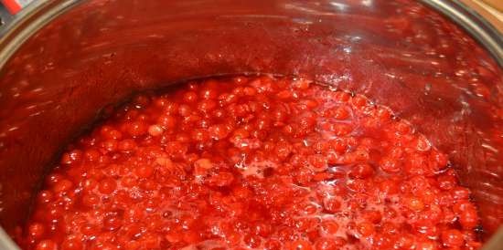 Gelatina di marmellata "Kalina red"